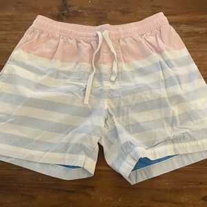 Chubbies Striped Shorts - Size M